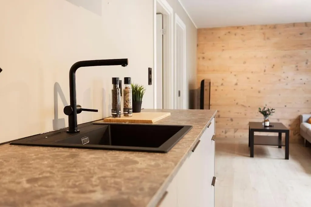 New! Modern Apartment In Historic Area Of Bergen!